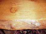 elm tree timber - part of a coffee table made from Leicestershire Elm