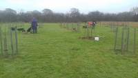 tree planting day, Nov 2018